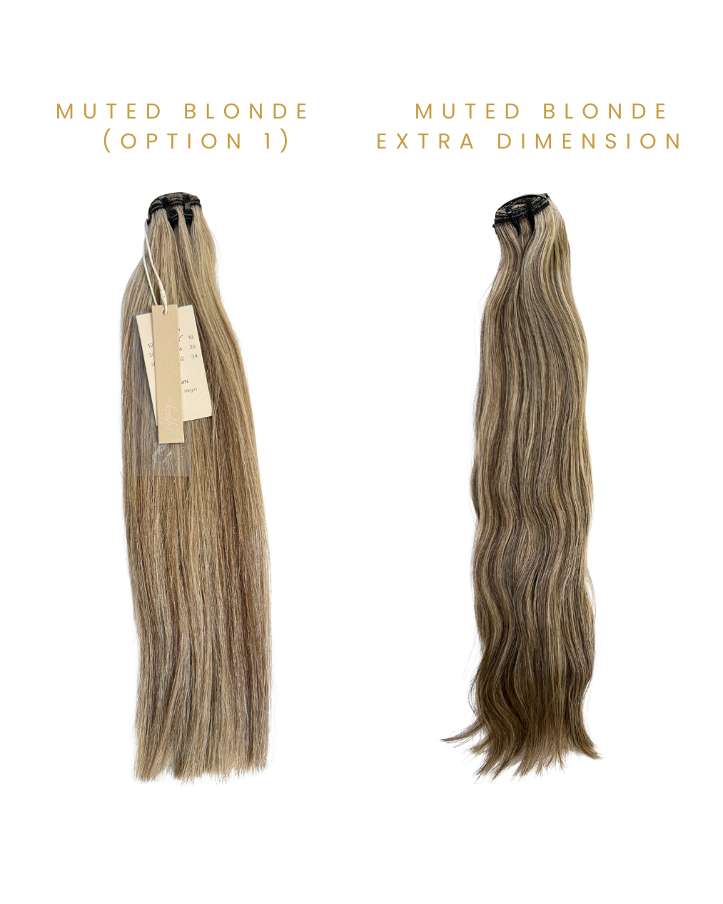 Warm Muted Blonde  - (option 1) Savannah’s Blonde