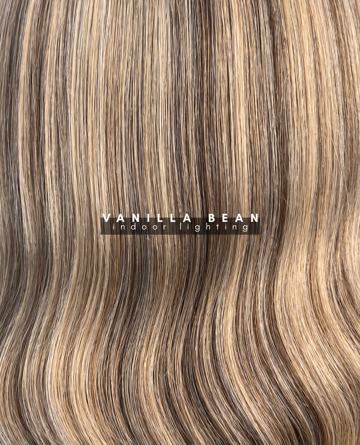 Vanilla Bean - Savannah’s Blonde