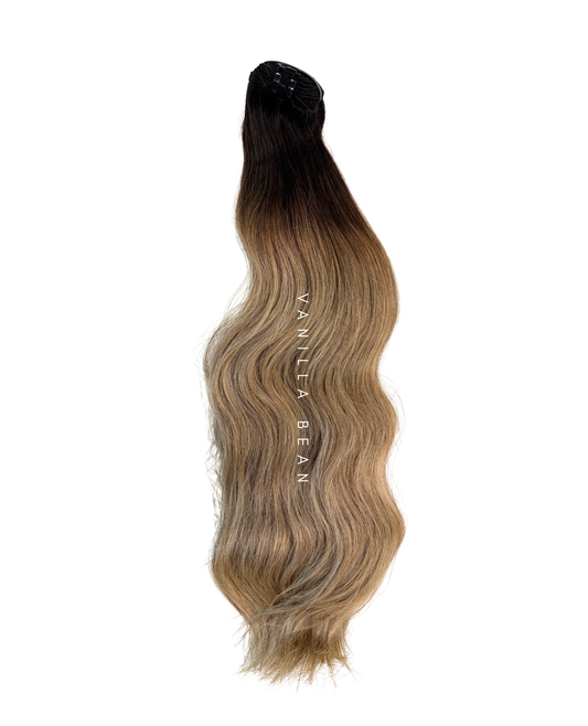 Vanilla Bean - Savannah’s Blonde