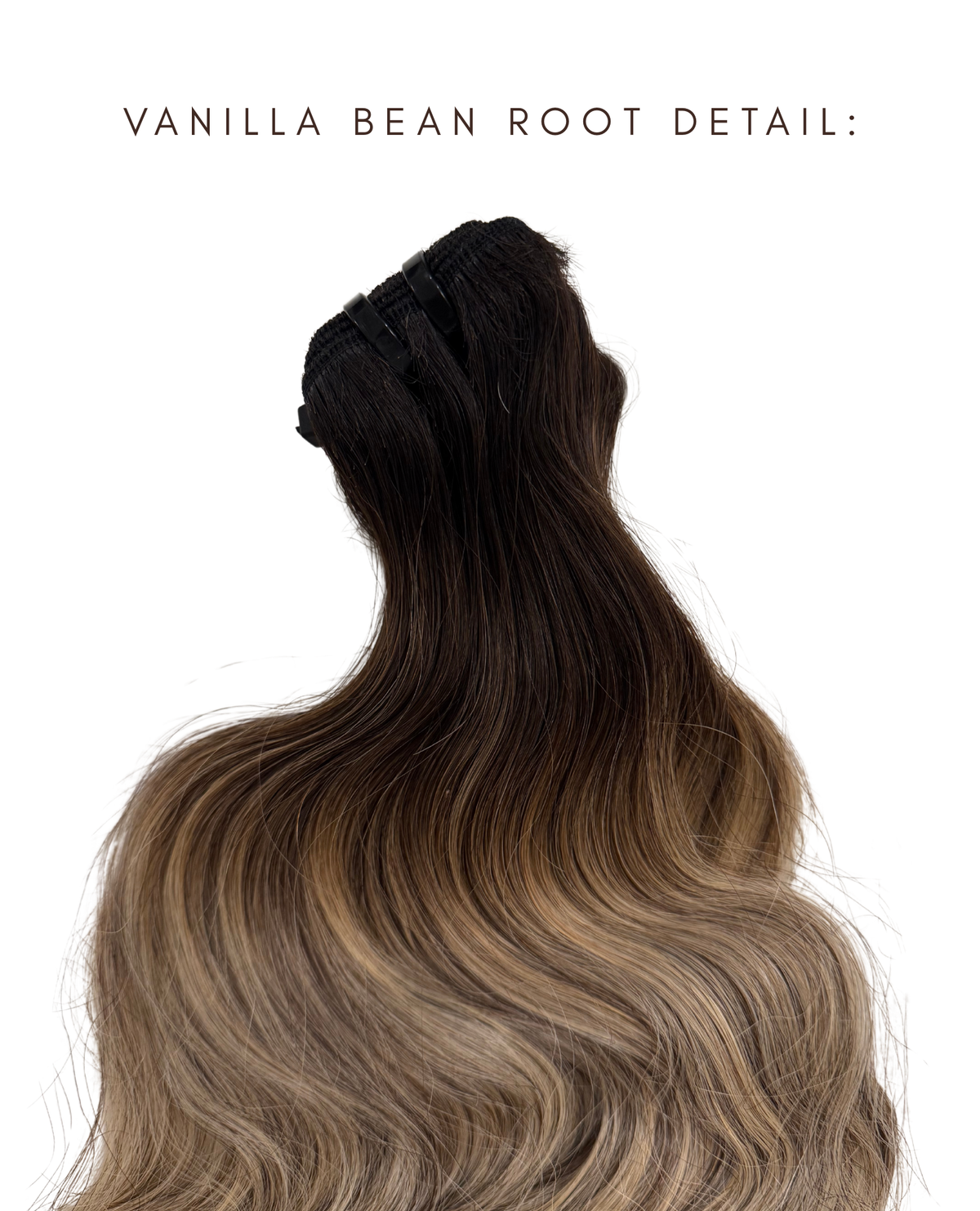 Vanilla Bean - Savannah’s Blonde